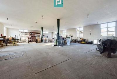 Spa?iu comercial pe Cal.Aradului, Periam - 8