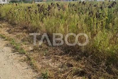 Teren intravilan de vanzare in Sebes drumul Petrestiului - 3