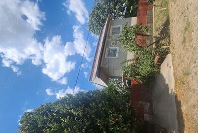 Casa de vanzare, jud. Teleorman - 3