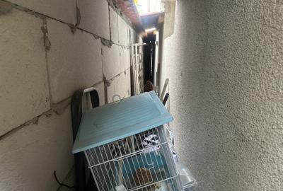 Casa / Vila zona Coiciu - 8