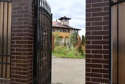 Casă cu 7 camere cu Piscina în Vișani
