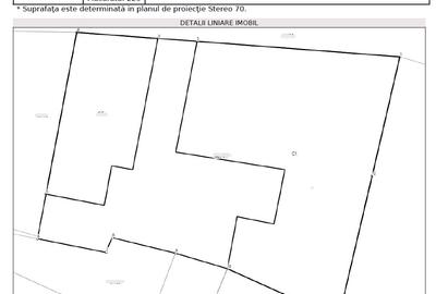 Vilă interbelică de excepție   utilizare mixtă   Ultracentral Odobești - 8