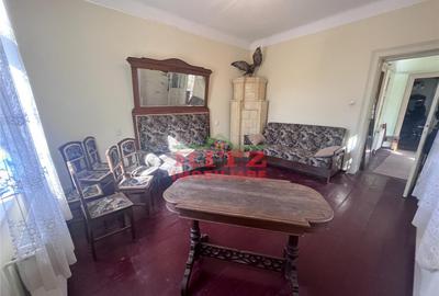 Nou! Casa D M, langa parc, ideala diverse activitati! - 8