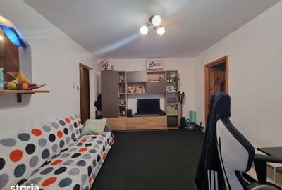 Apartament cu 2 camere semidecomandat, mobilat în Bistrița Lac - 4