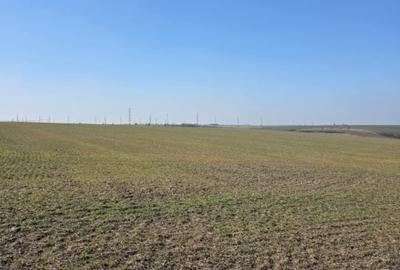 Teren Construcții intravilan de 4750 mp, în Exterior Nord - 3