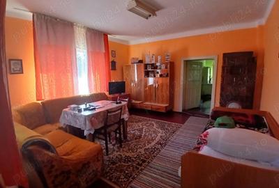 Casă cu 3 camere cu Teren 11000 Mp în Nadiș - 4