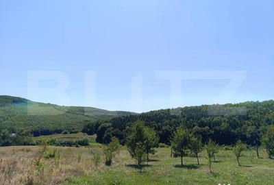 Teren de 10200 mp, în Dej - 3