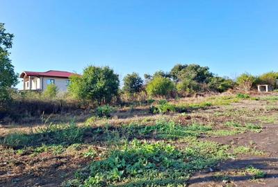 Teren Construcții intravilan de 1480 mp, în 23 August - 7