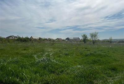 Teren Construcții intravilan de 4016 mp, în Dancu - 1