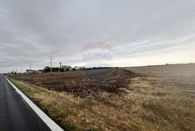 Teren agricol extravilan de 27882 mp, în Exterior Est - 4