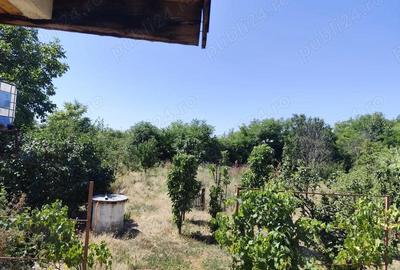 Casă cu 4 camere cu Teren 2000 Mp în Valea Măcrișului - 2