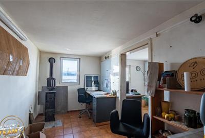 Spațiu comercial, de 1,341 mp, în Valea Crișului - 11