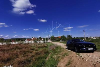 Spațiu comercial, în Bascov - 6