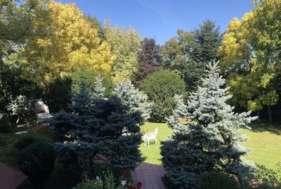 PROPRIETATE CU ENERGIE PURA |  Sanctuarul Eleganței și Rafinamentului - 21