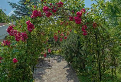 Casă individuală cu 12 camere în Moacșa - 9