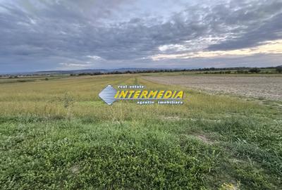 Teren Construcții intravilan de 2300 mp, în Mereteu - 3