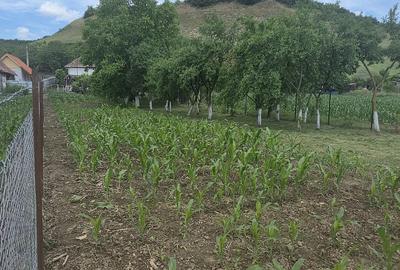 Casă cu 2 camere cu Teren 1000 Mp în Sânmărghita - 9