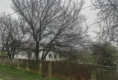 Teren de 3345 mp, în Tia Mare - 2