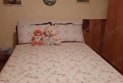 Casa cu gradina de vanzare Casa cu gradina de vanzare - 9