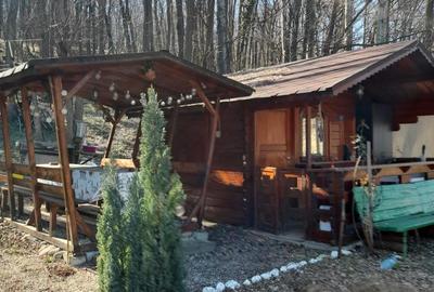 Teren Construcții intravilan de 1050 mp, în Pietrari (Păușești-Măglași) - 1