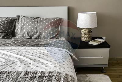 Apartament spa?ios cu 2 camere de inchiriat la ARED Uta - 3