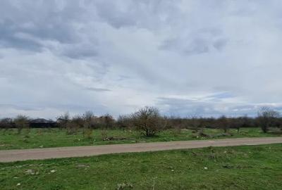 Teren Intravilan 533 mp Sanpetru - 1