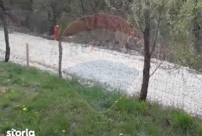 Teren de 561 mp, în Turcheș - 5