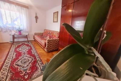 Poveste saseasca la umbra vitei de vie, cu crama si gradina cu flori, Central Co - 26