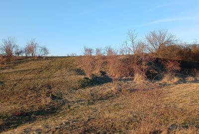 Teren Construcții intravilan de 12300 mp, în Podu Oltului - 5