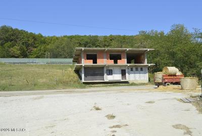Spațiu industrial, în Bogați - 8