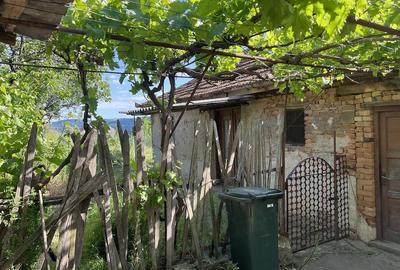 Casă cu Teren 800 Mp în Svinița