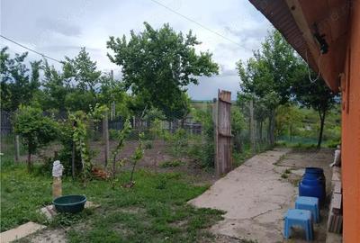 Ciurbesti Casa batraneasca cu TEREN 1347mp - 7