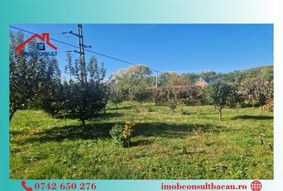 Casă cu 3 camere cu Teren 1877 Mp în Est - 12