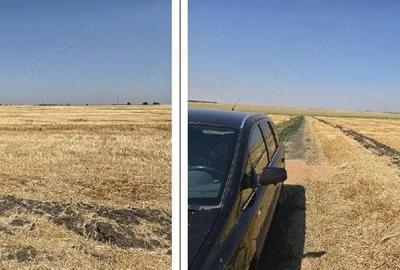 Teren extravilan Zimnicea cota parte 1/6 ID: R2688418 - 1