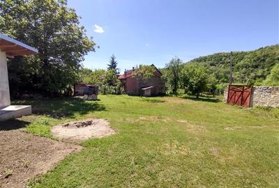 Casă individuală cu 3 camere cu Canalizare în Ciclova Română - 24