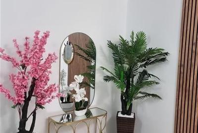 Apartament 2 camere de inchiriat, Pet Friendly - zona Mamaia Nord - 2