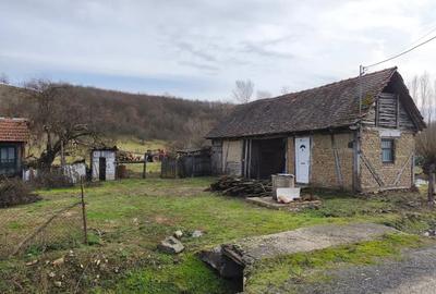 Teren de 6000 mp, în Julița - 4