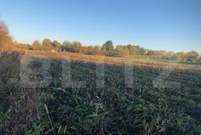 Casa batraneasca, 1500 mp teren, comuna Pomi - 14