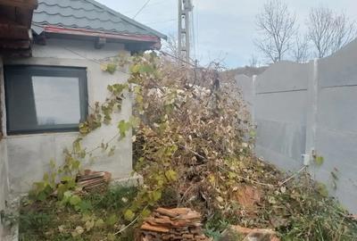 Vanzare Casa Campina - 4