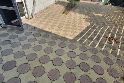 Ultracentral, se inchiriaza spatiu comercial 250 mp, pret 580 euro lunar - 1