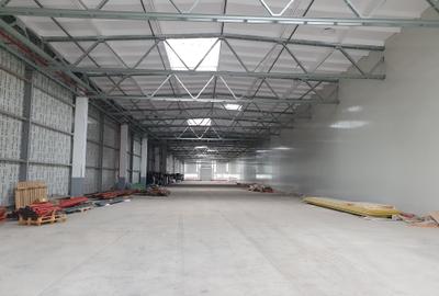 Hala 1200 mp, 4,50 e/mp Hala 1200 mp, 4,50 e/mp - 2