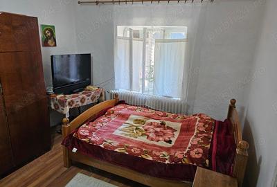 Casă cu 4 camere cu Teren 1450 Mp în Liebling - 2