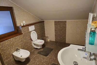 Vila si teren in Horia - 12