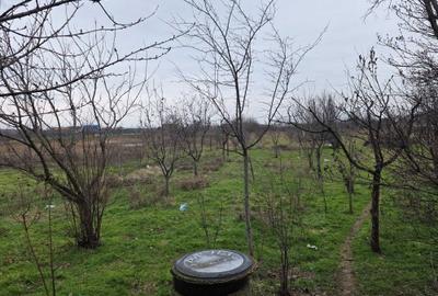 Casă cu 2 camere în Proaspeți - 1