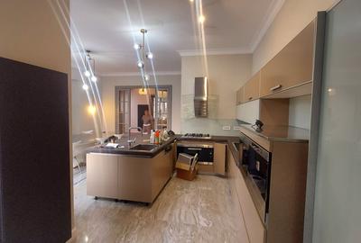 De inchiriat vila in zona Gradina Icoanei - 2