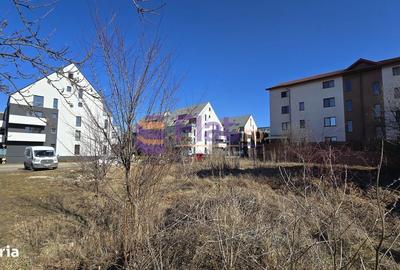 Spațiu comercial, în Tractorul