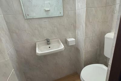 Apartament cu 3 camere decomandat, mobilat în Trocadero - 9