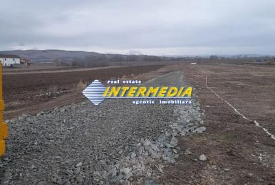 Teren Construcții intravilan de 615 mp, în Partoș - 1