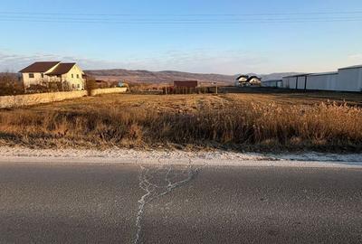 Spațiu comercial, în Buhoci - 11