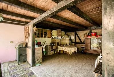 Casă cu 5 camere cu Teren 1370 Mp în Bodrogu Nou - 2